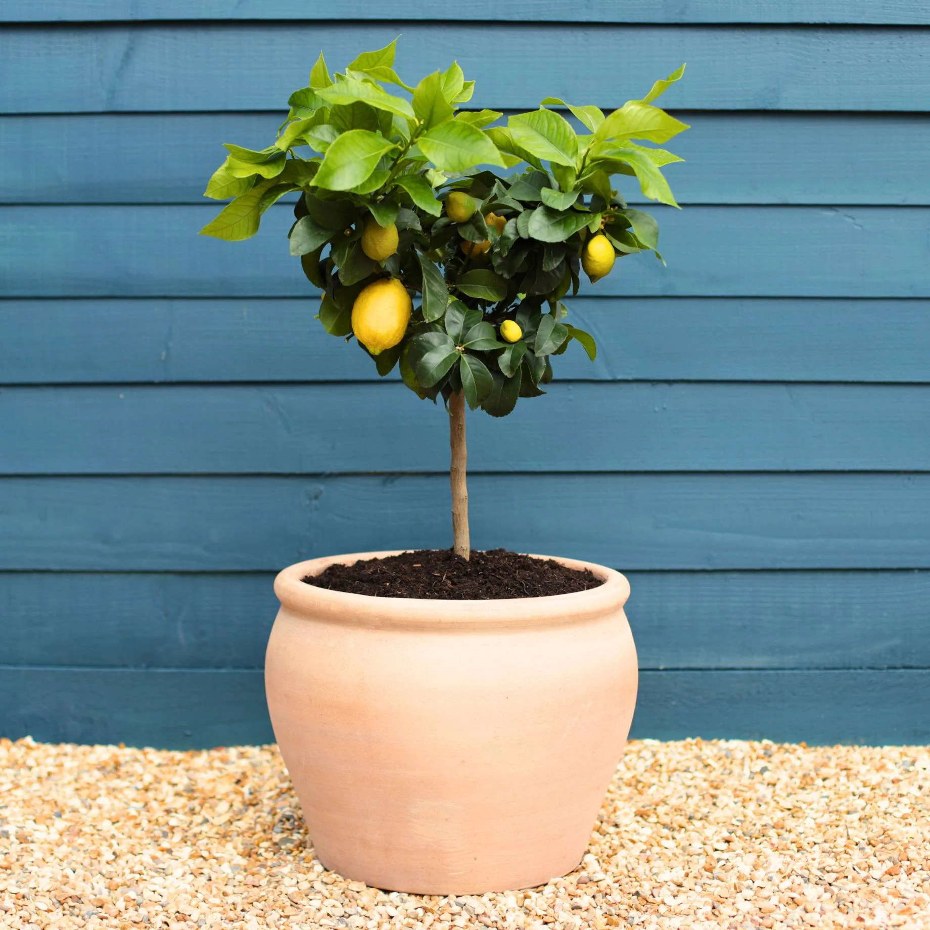 Handmade Frost-Resistant Terracotta Pot