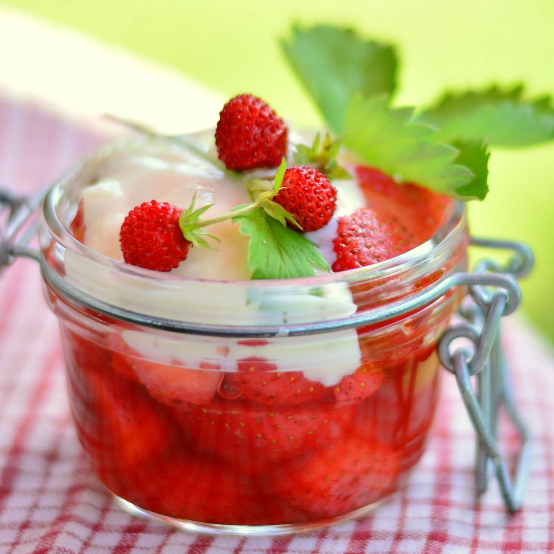 Alpine Strawberry Plants - Image 3