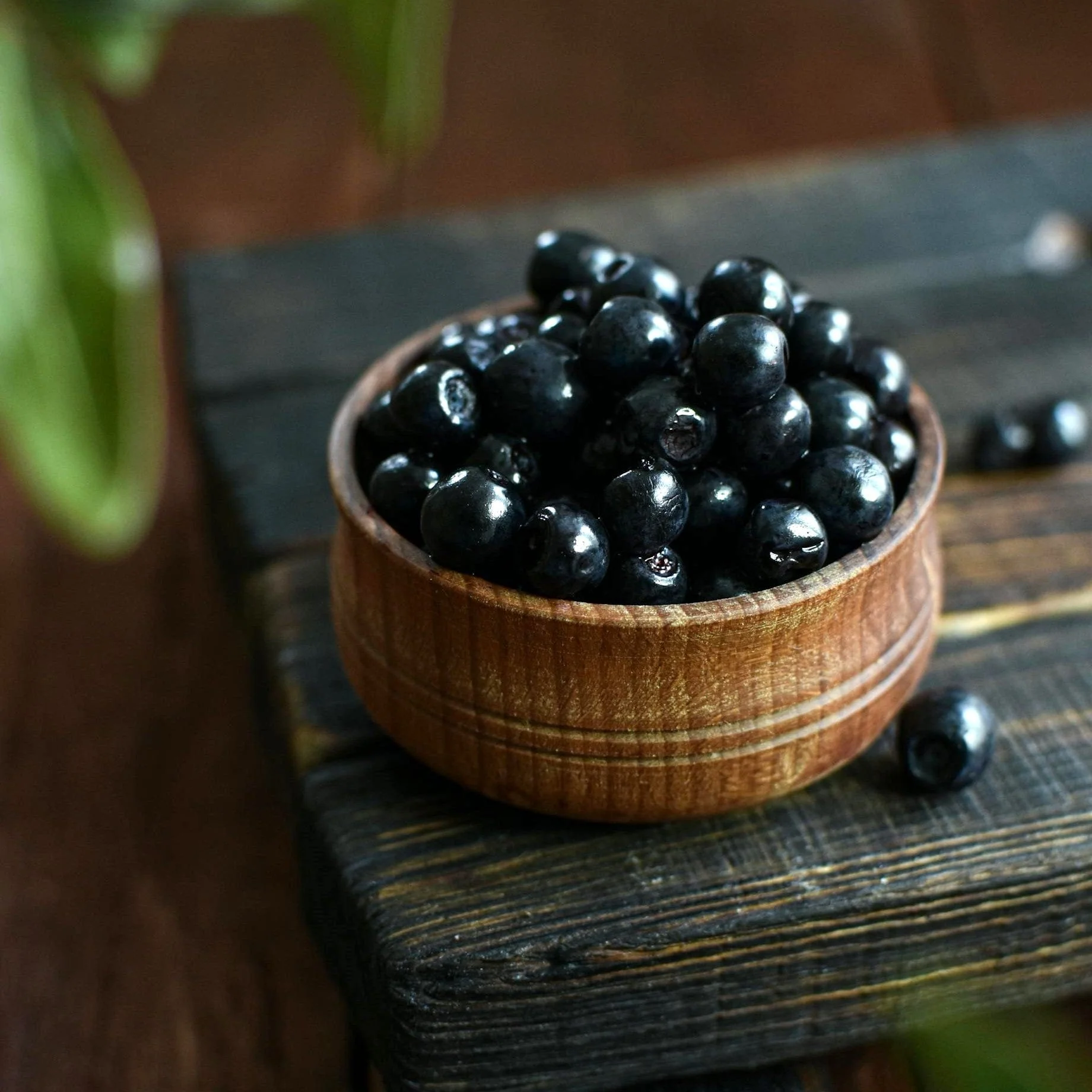 'Baldwin' Blackcurrant Plant - Image 2