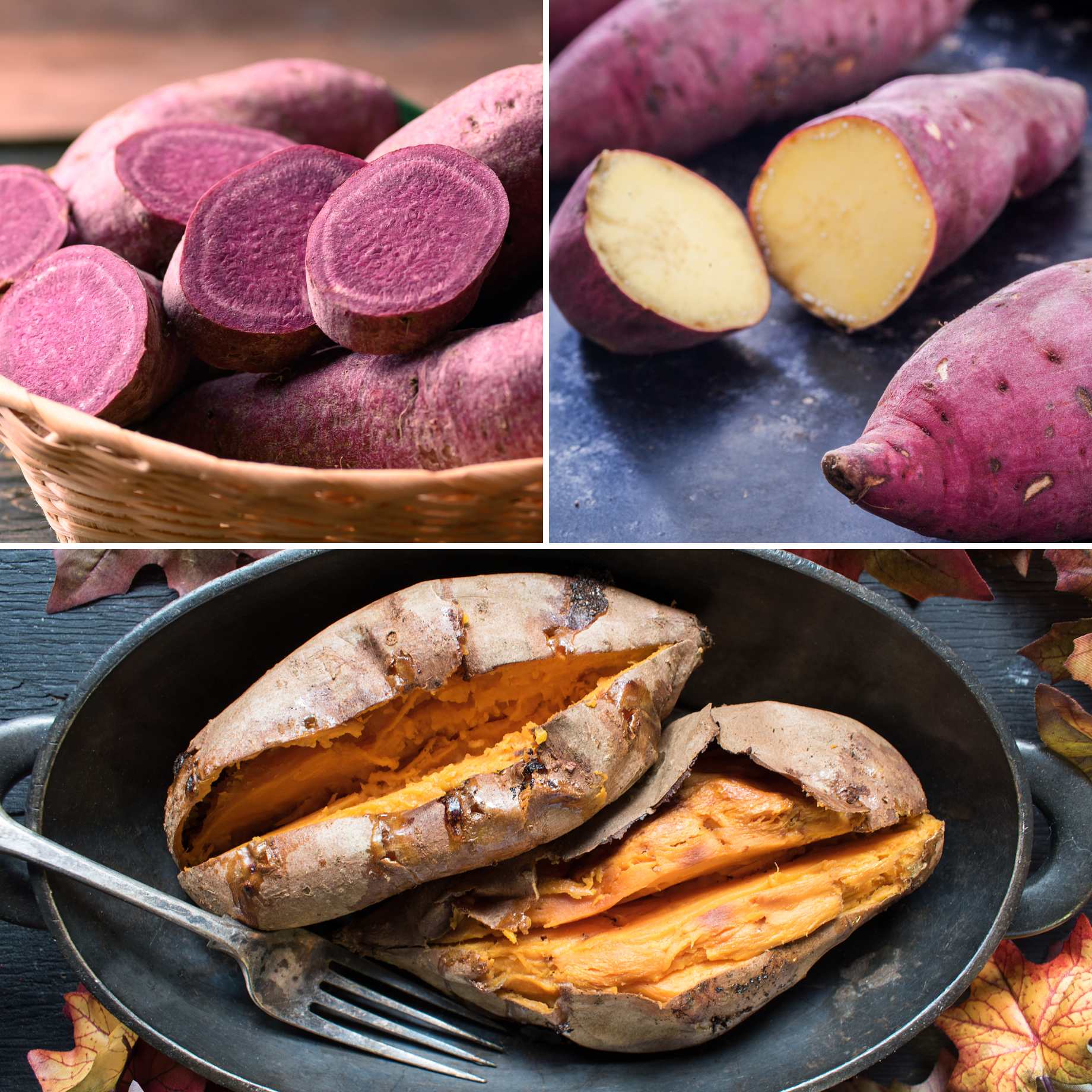 Best Sweet Potato Plants | Grower's Choice