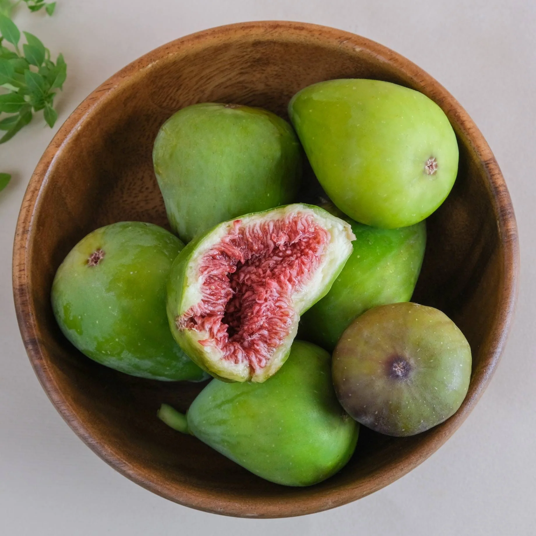 'Brunswick' Fig Tree - Image 4