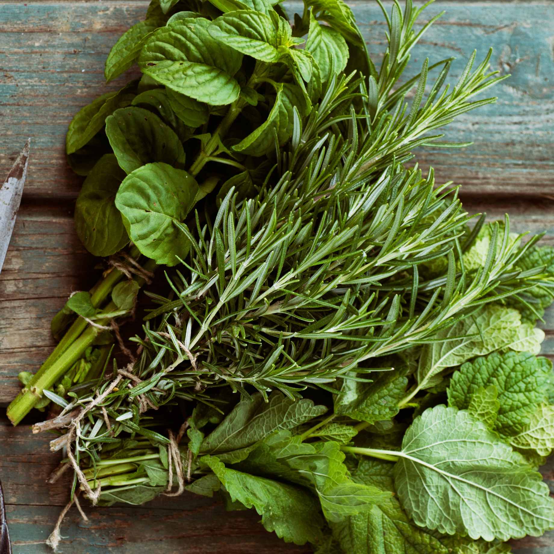 Chef's Best Herb Collection - Image 3