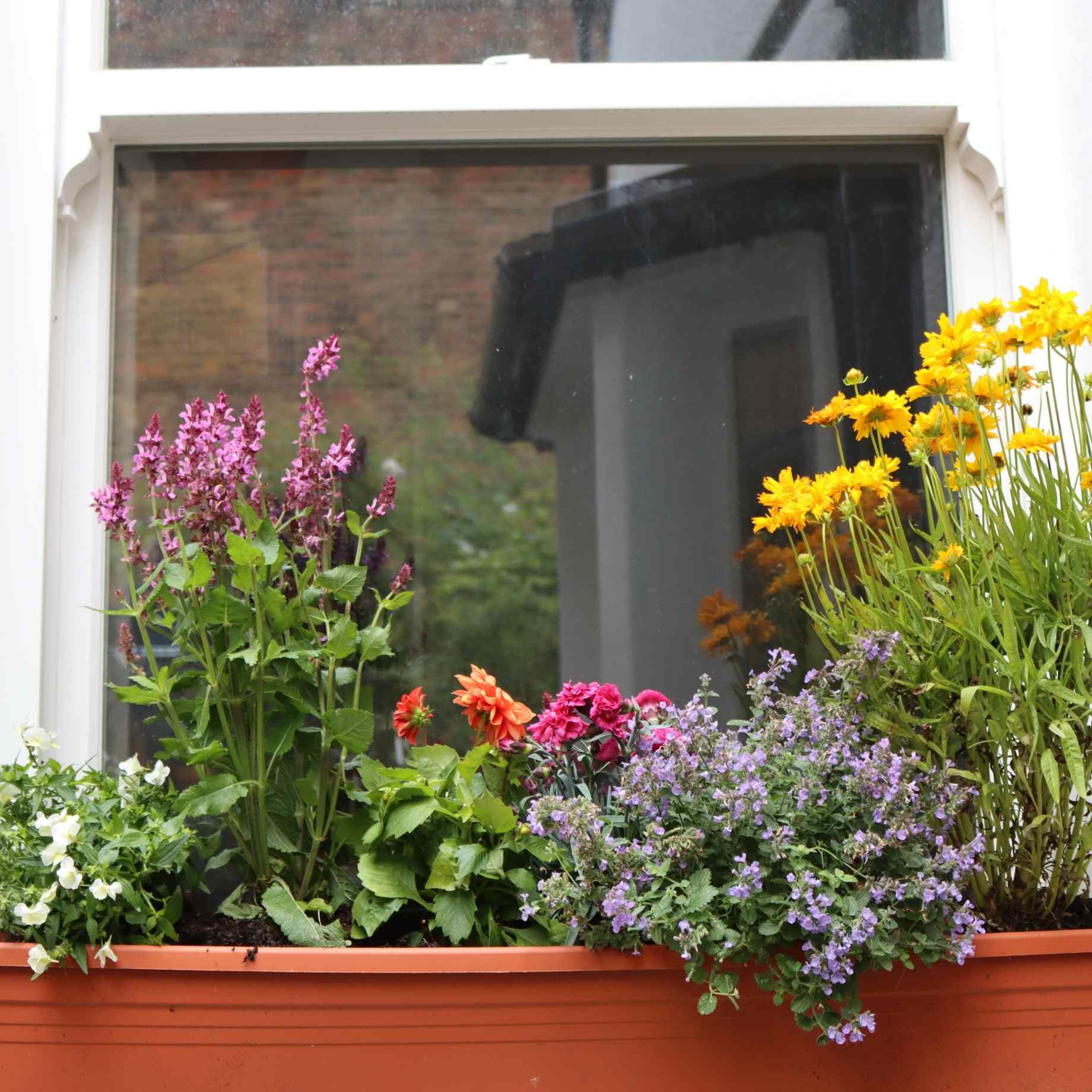 Classic Window Box Collection - Image 4