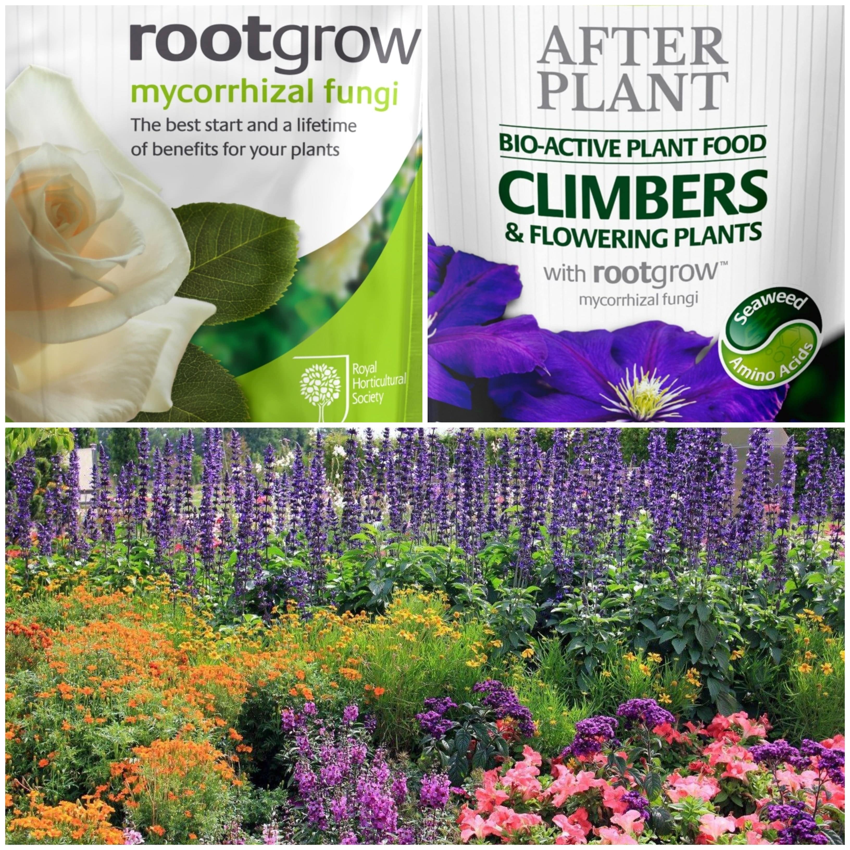 Complete Perennial Care Pack | Empathy Rootgrow™ & Perennial AfterPlant™