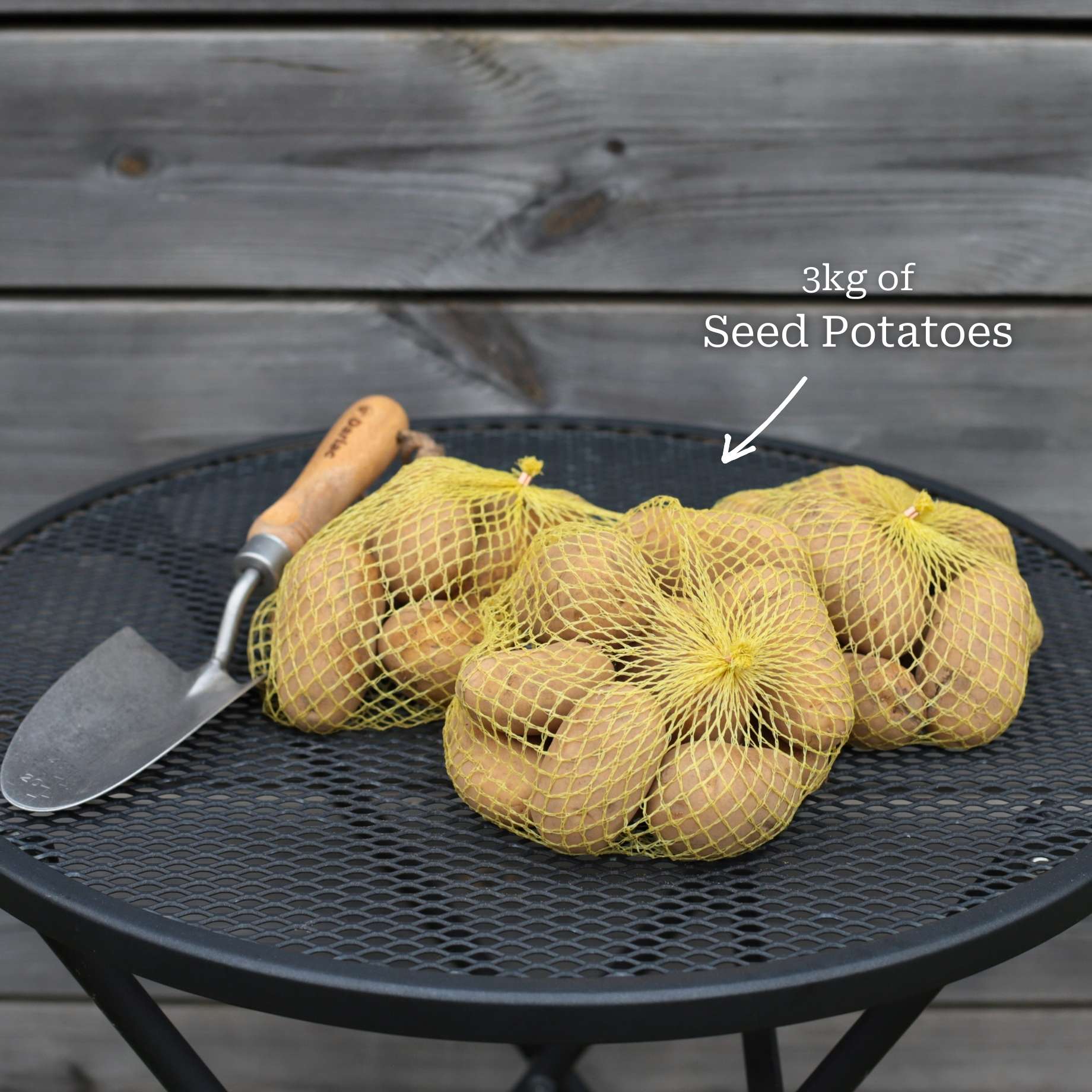 Container Growing Seed Potato Pack | Growers' Choice - Image 6
