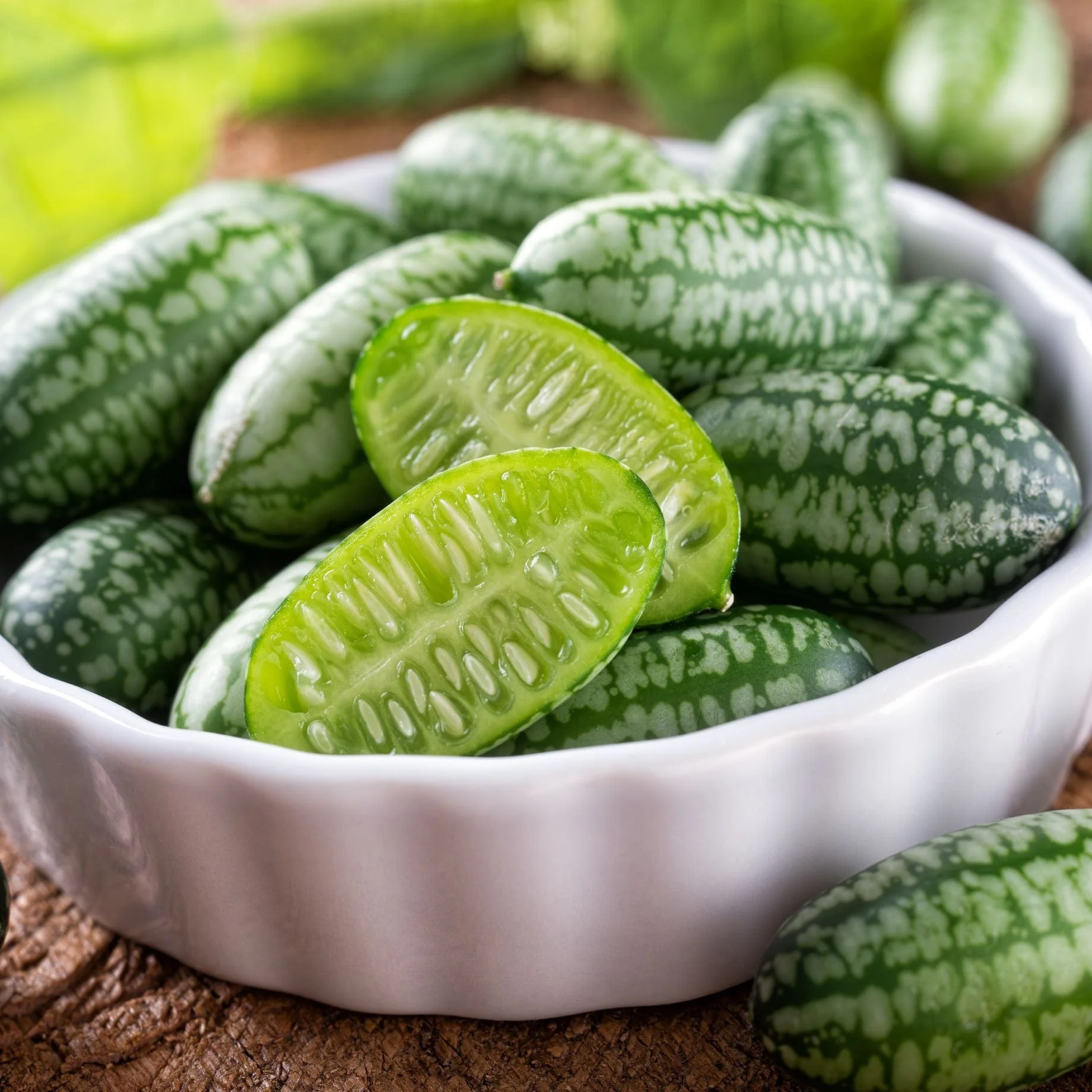 Cucamelon Plants - Image 2