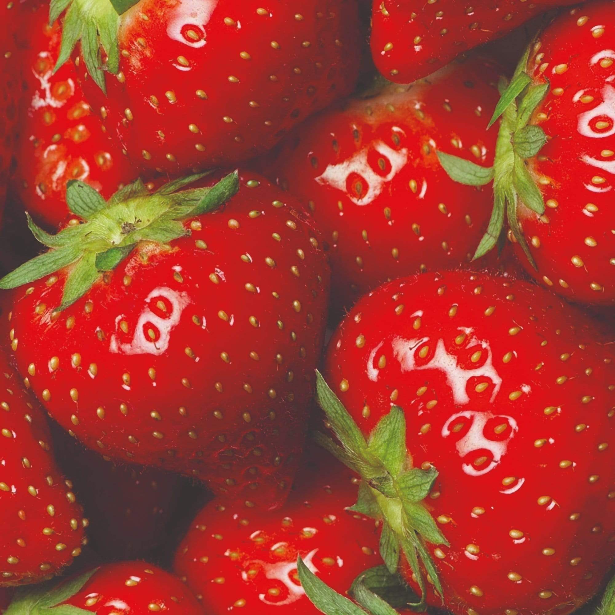 'Elsanta' Strawberry Plants - Image 3