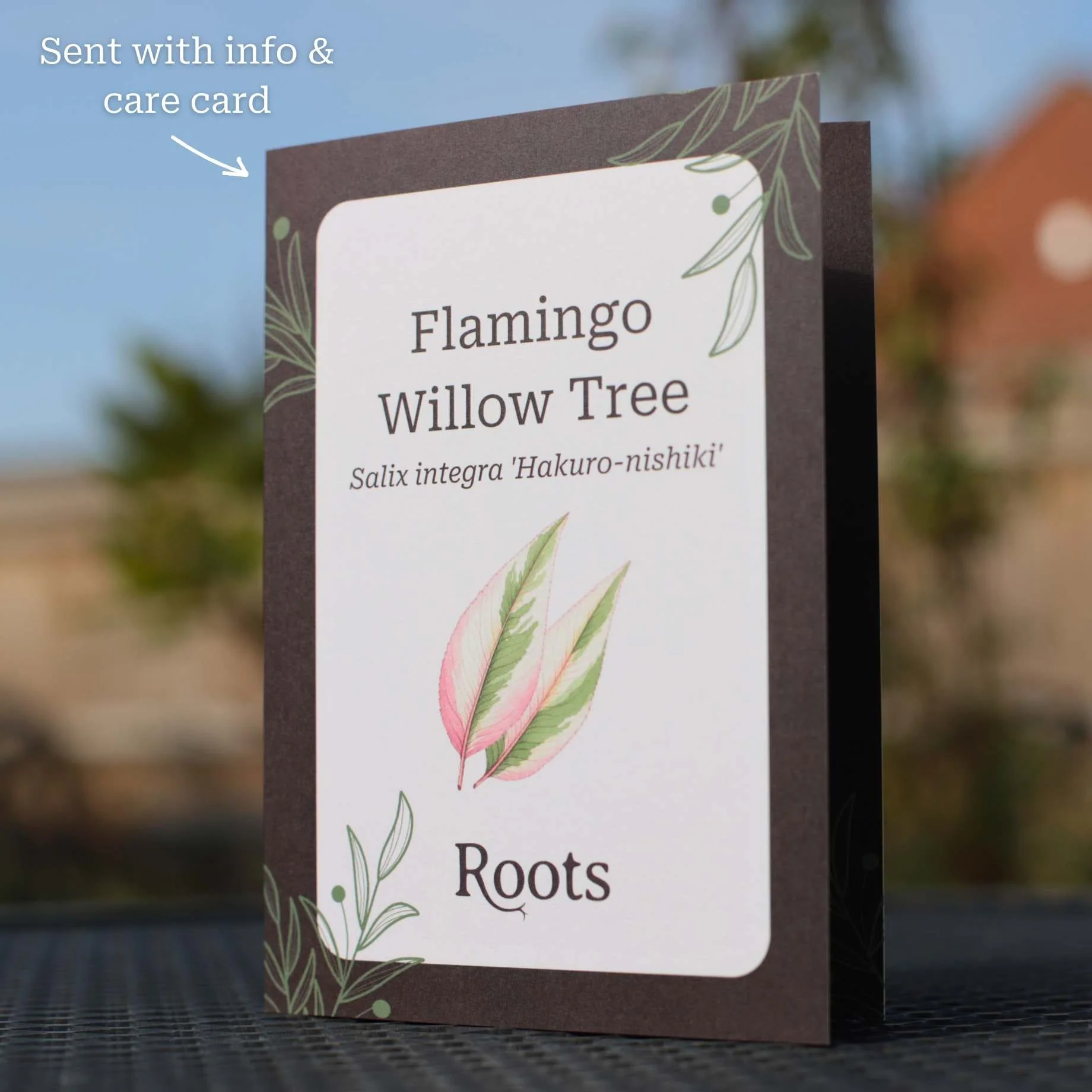 Flamingo Willow Tree Gift - Image 3