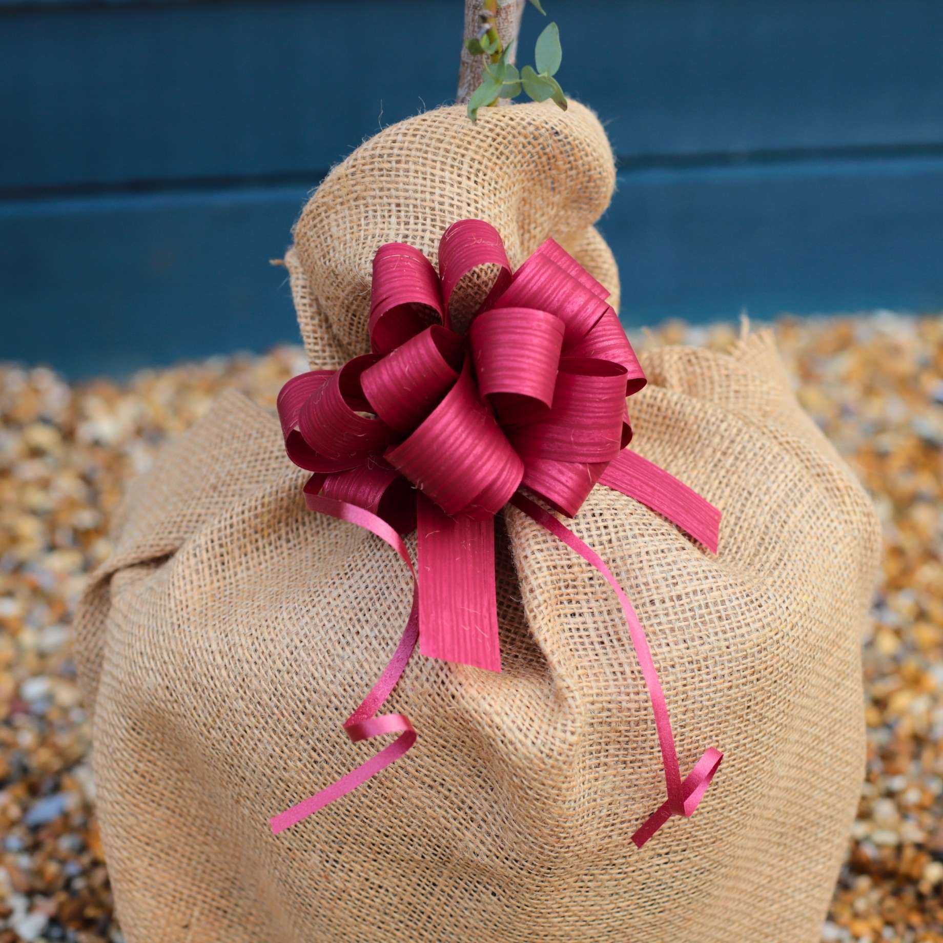 Gift Wrap - Image 3