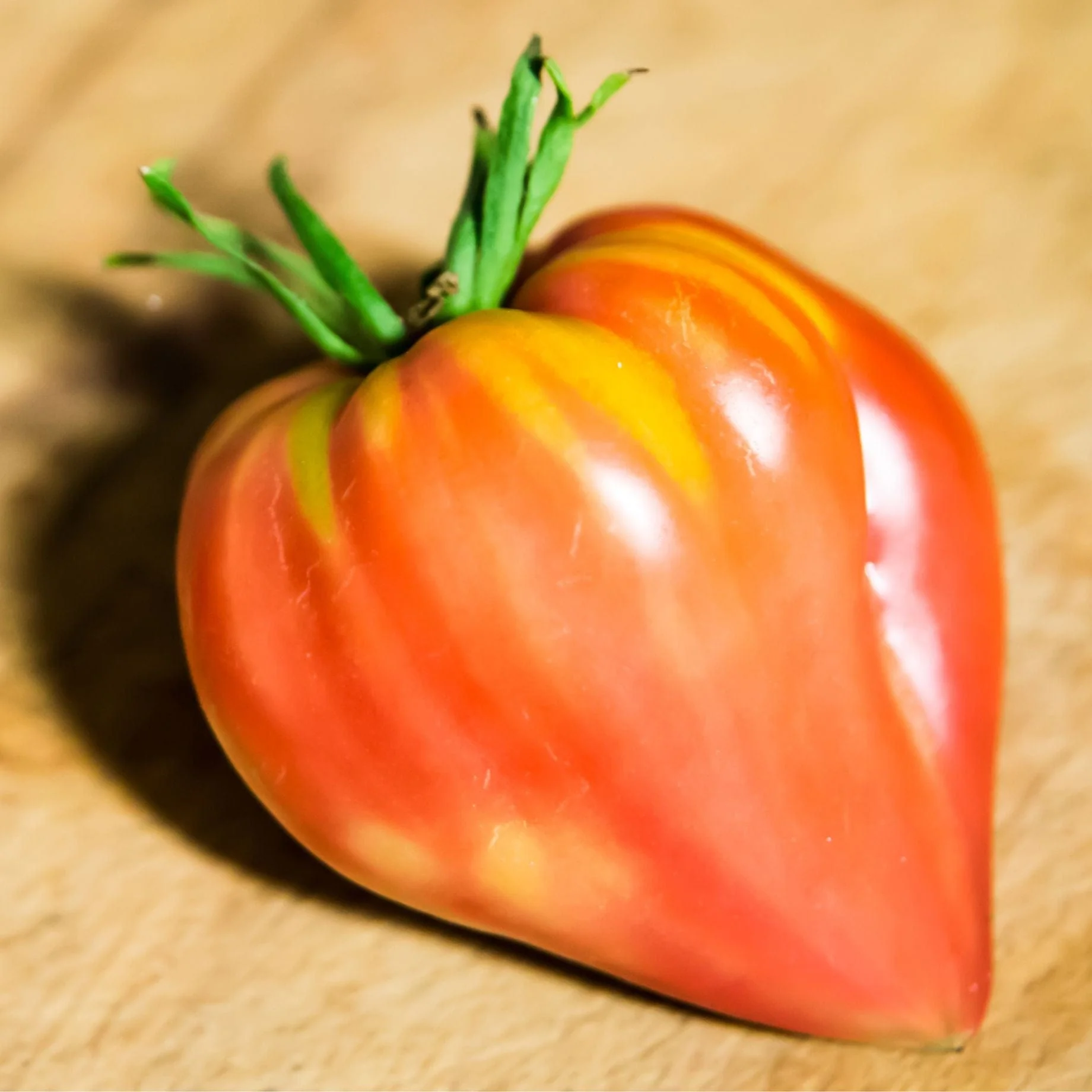 'Gourmansun' Tomato Plant - Image 2