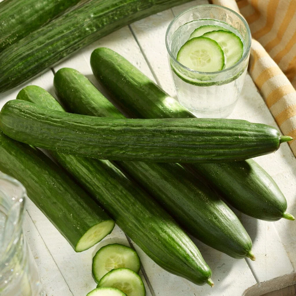 'Kuper F1' Grafted Cucumber Plant - Image 2