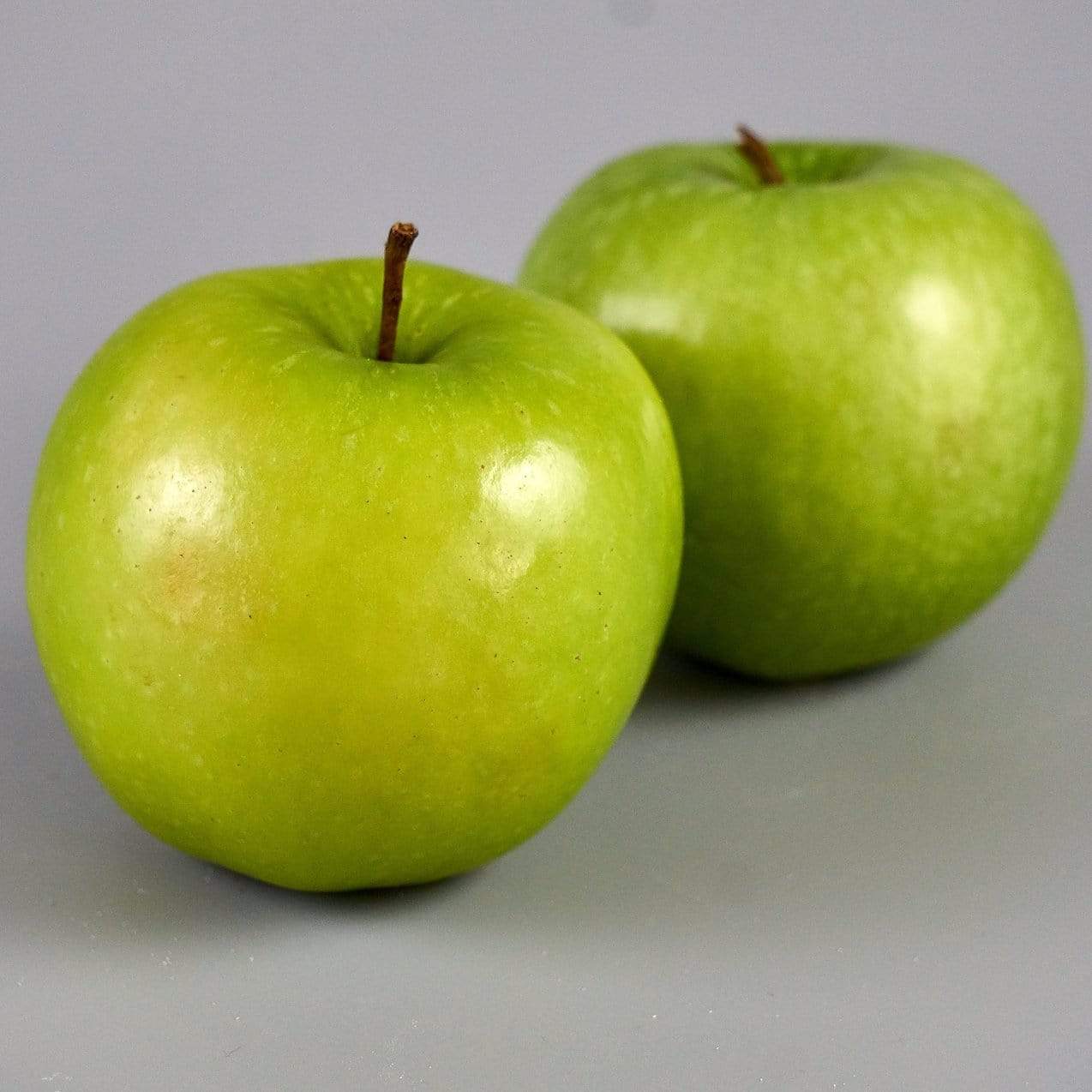 'Granny Smith' Apple Tree - Image 4