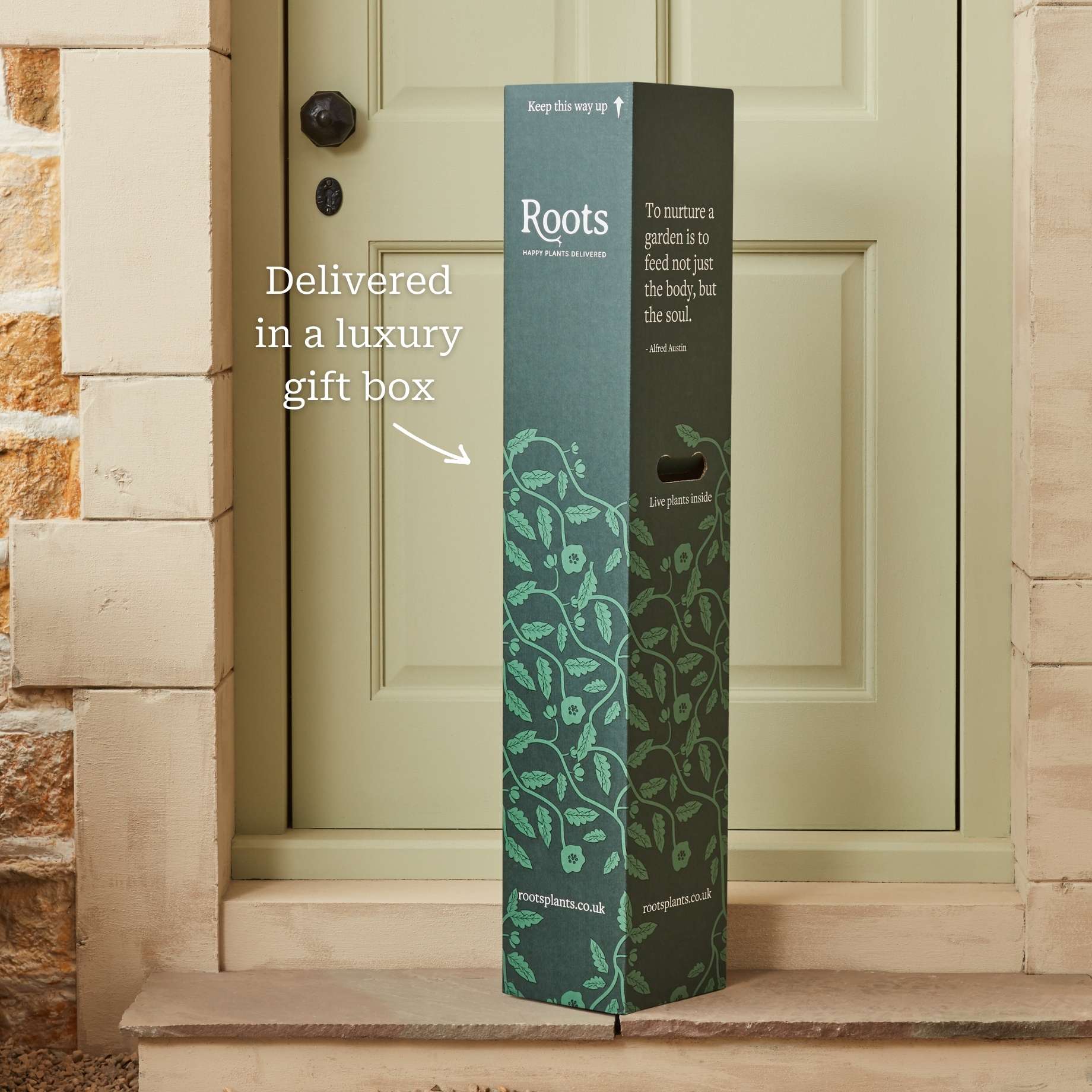 Fig Tree Gift - Image 4