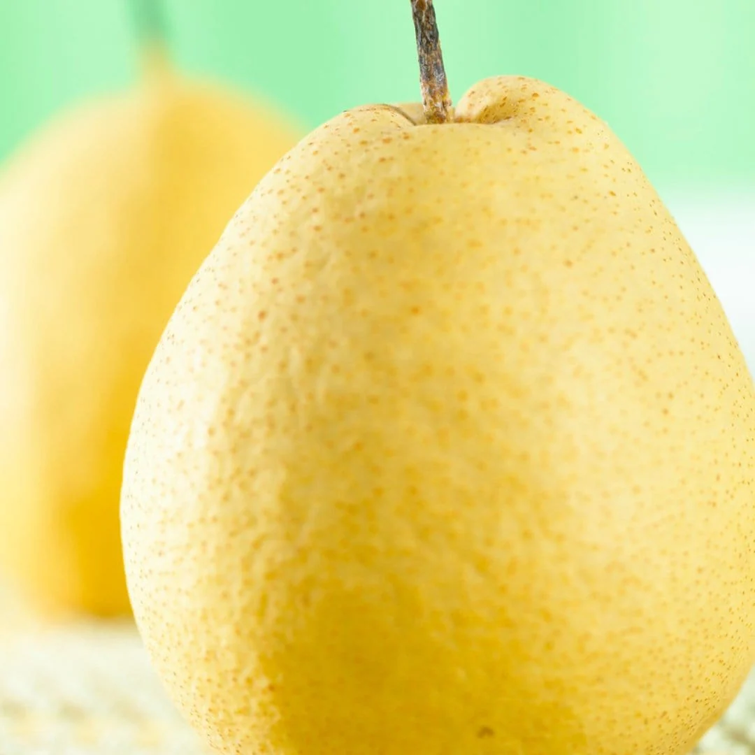 'Kumoi' Asian Pear Tree | Nashi Pear - Image 3