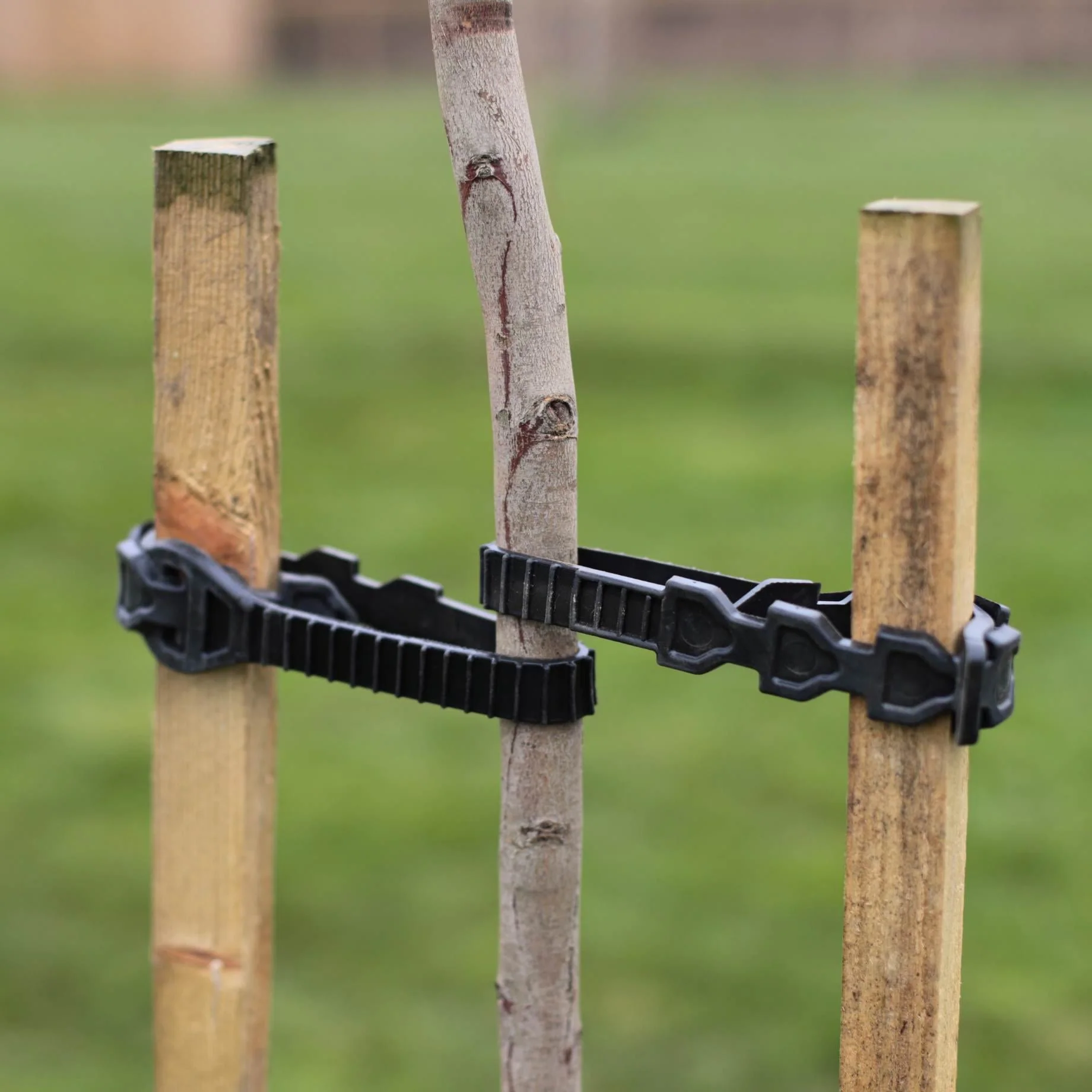 180cm Tall Tree Stake & Supersoft Tie - Image 5