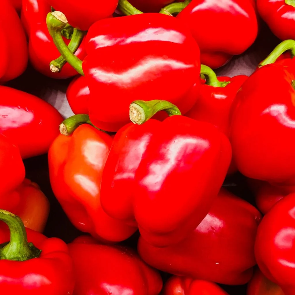 'New Ace' Red Sweet Pepper Plants - Image 2