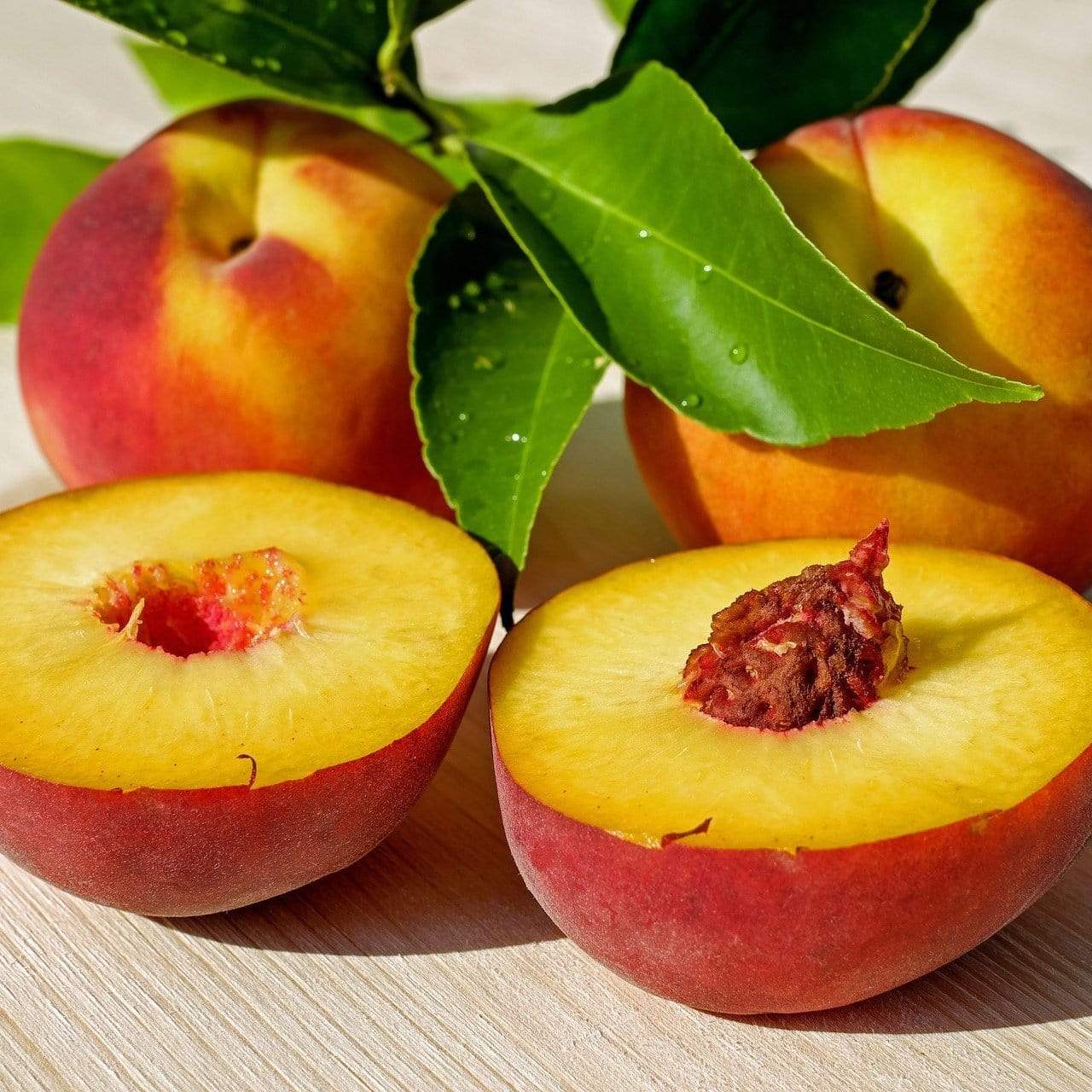 'Peregrine' Peach Tree - Image 5