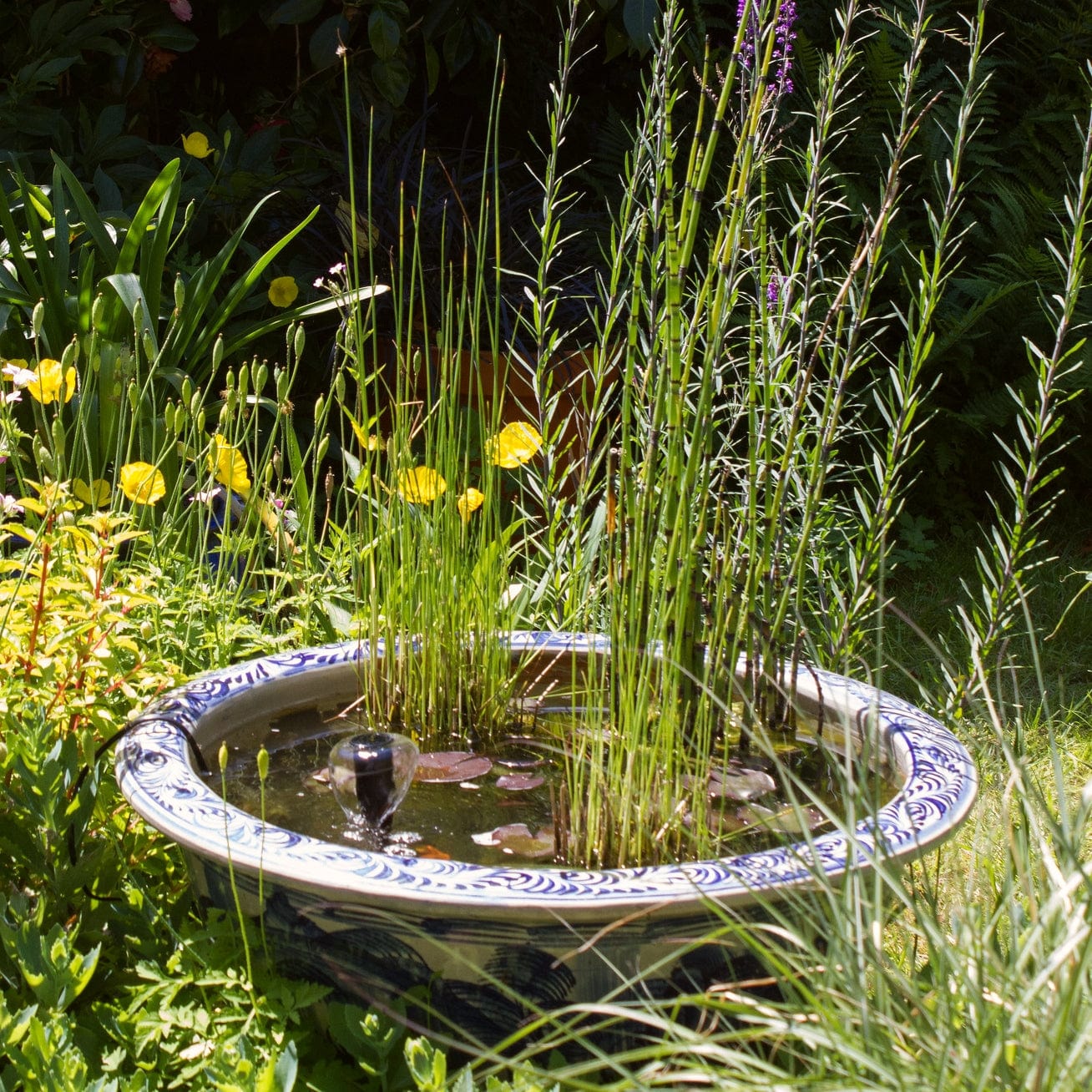 Pond in a Pot Planting Kit | Oxygenating & Wildlife | Flowers & Structure - Image 2