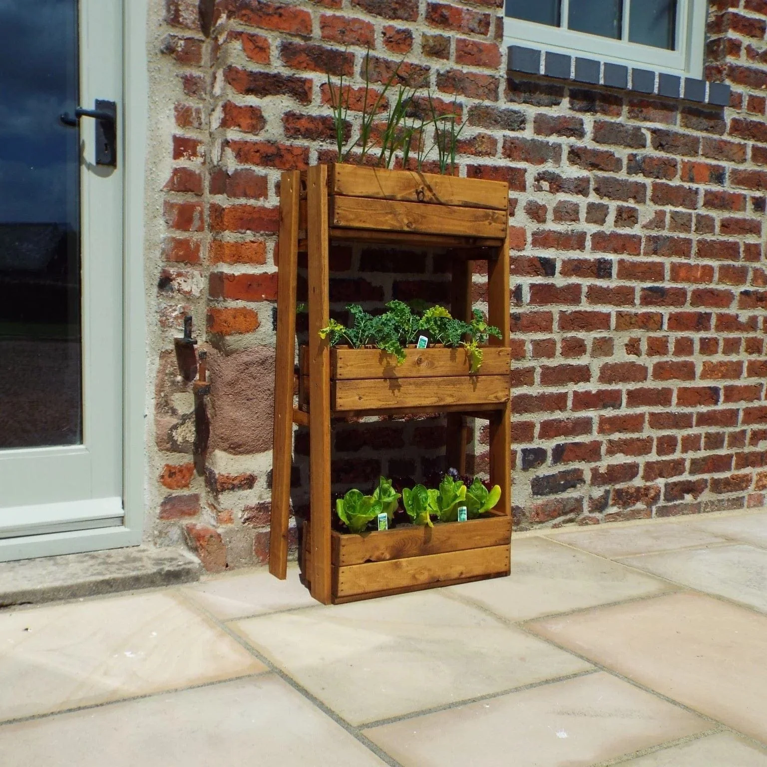 Premium Kitchen Herb Garden | Redwood - Image 2