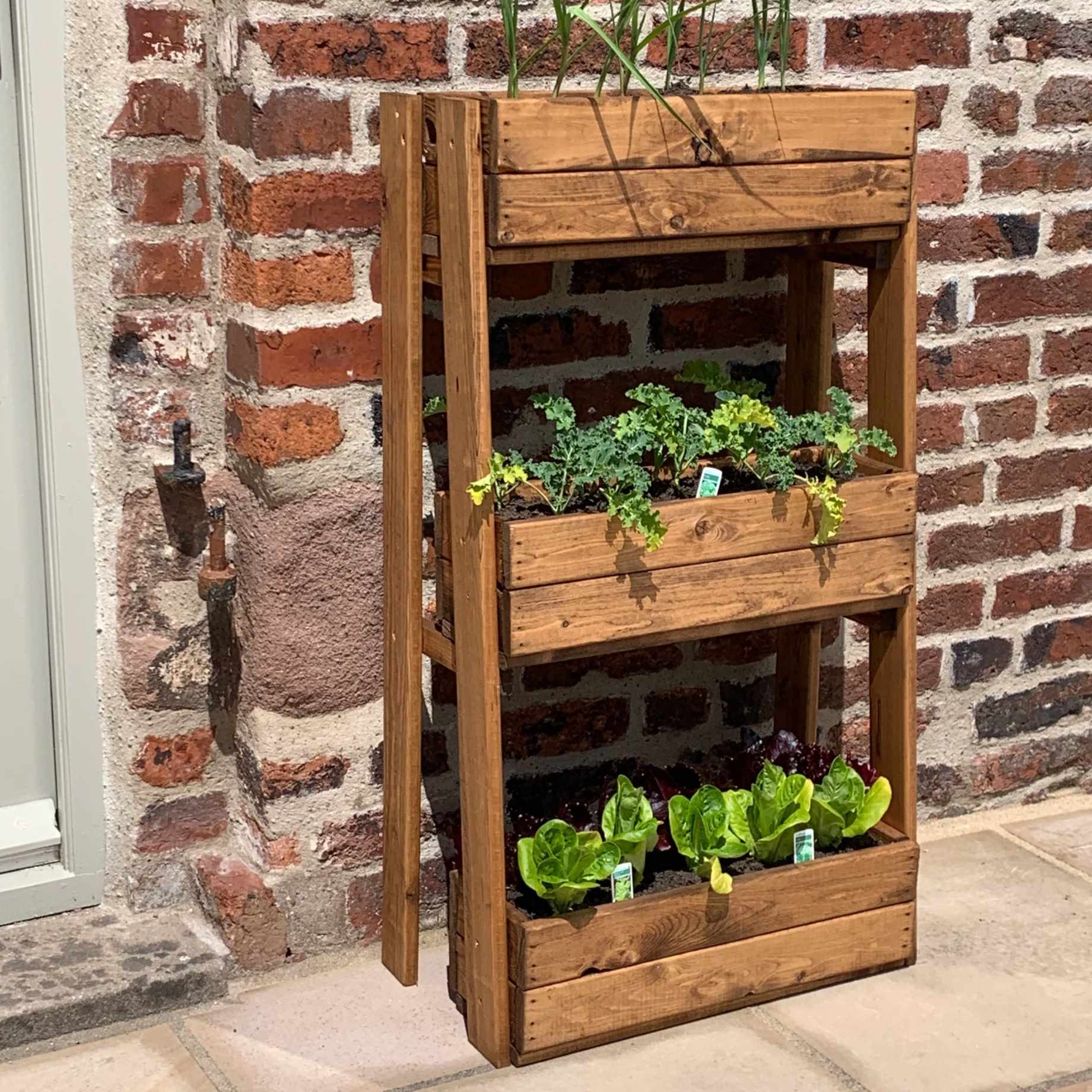 Premium Kitchen Herb Garden | Redwood - Image 3
