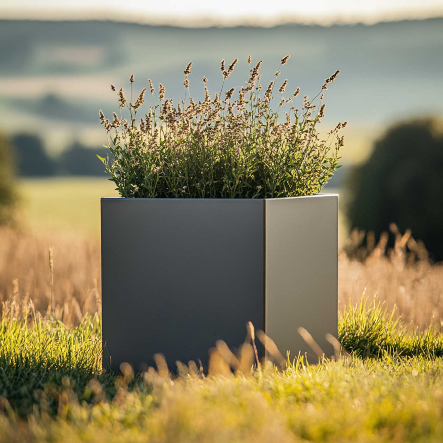 Premium Matte Grey Square Tree Planter | Galvanised Zinc - Image 4