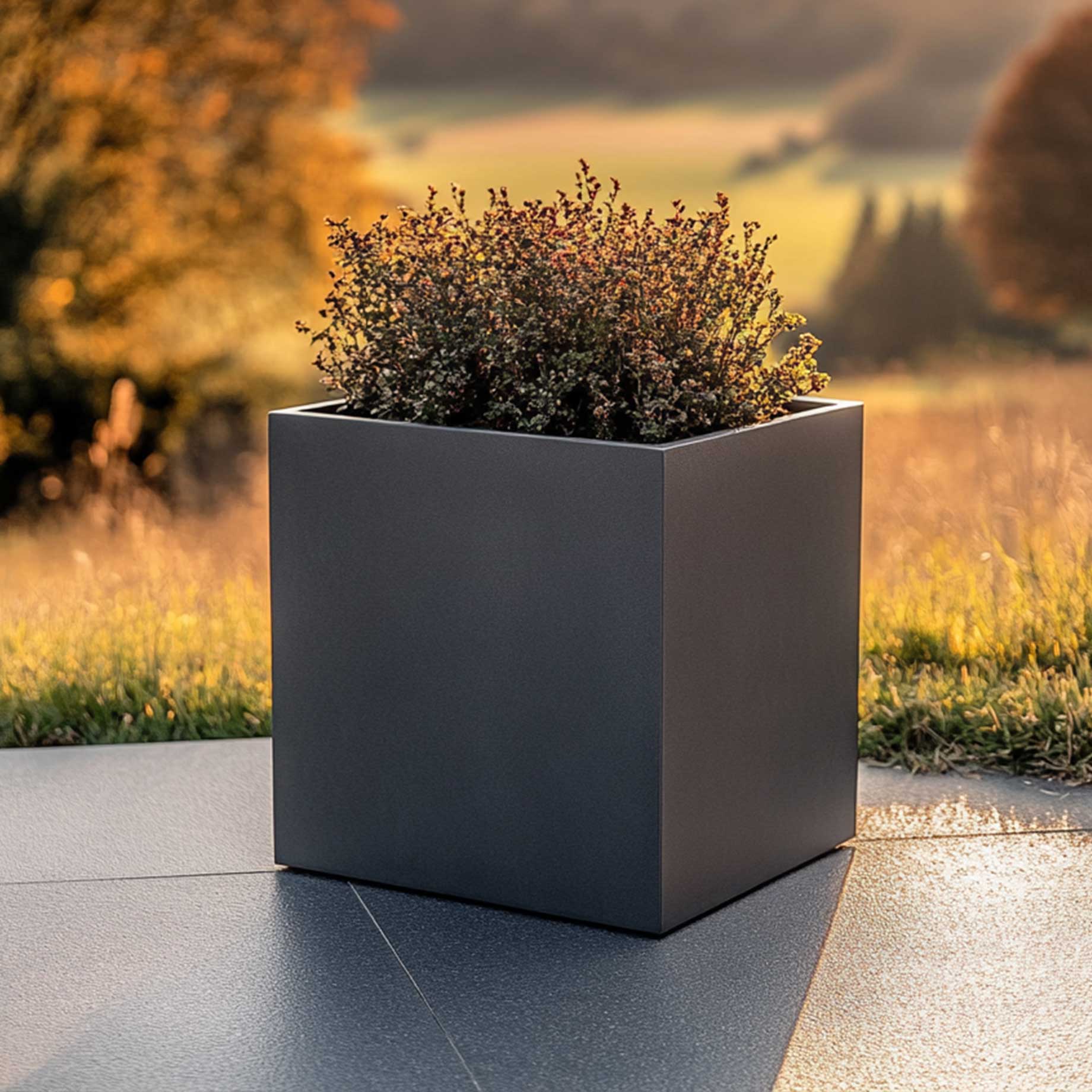 Premium Matte Grey Square Tree Planter | Galvanised Zinc - Image 5