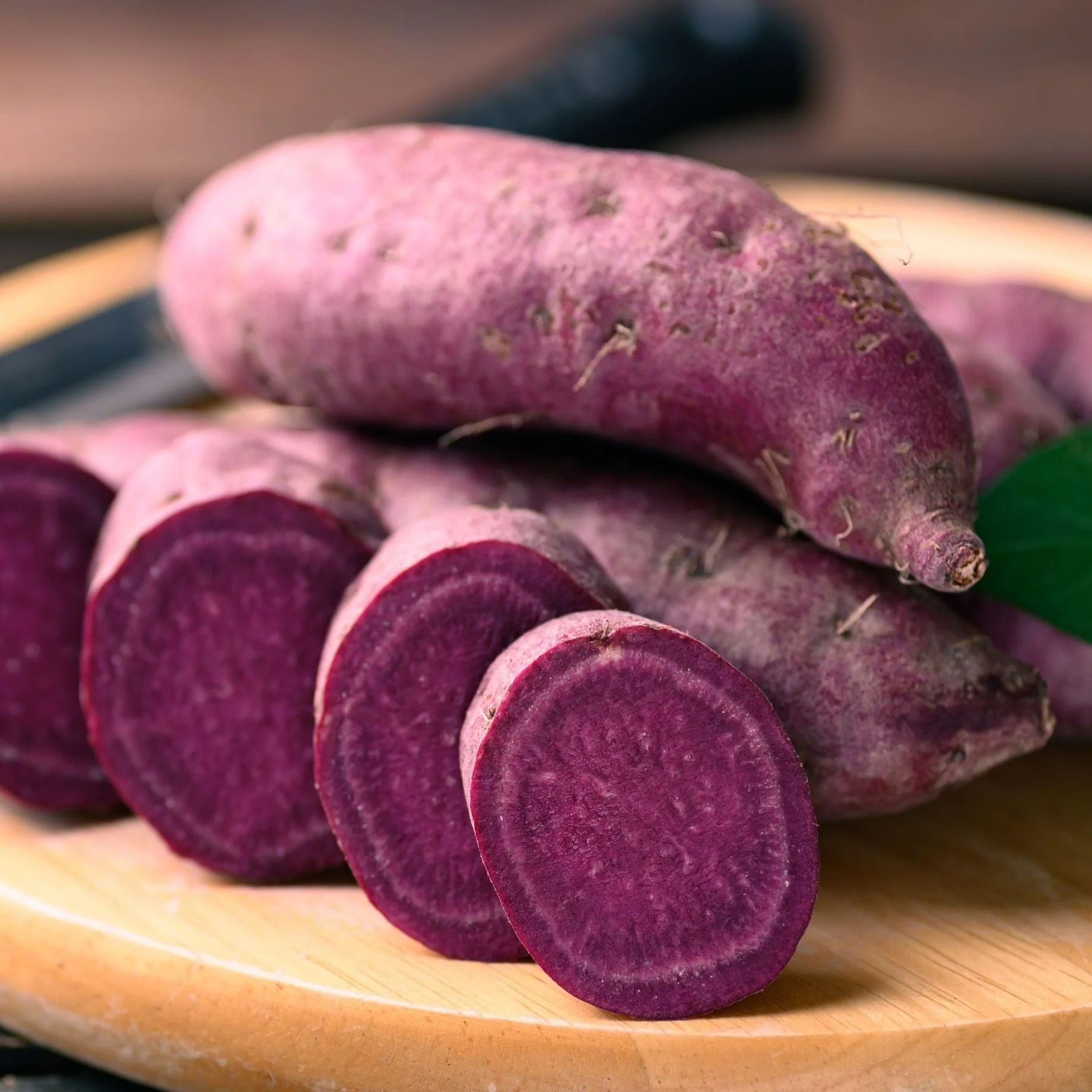 'Erato Violet' Sweet Potato Plant