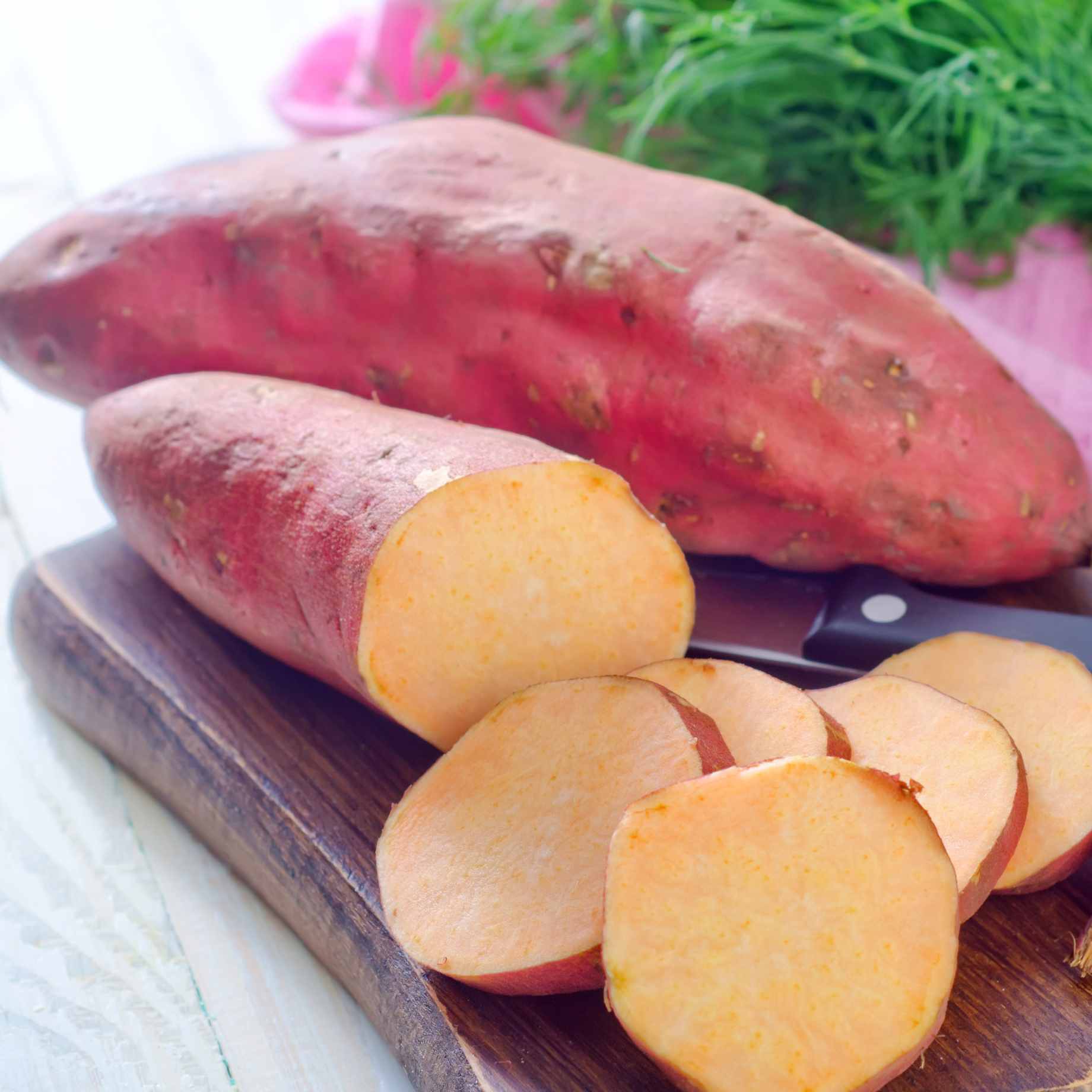 'Erato White' Sweet Potato Plant - Image 4