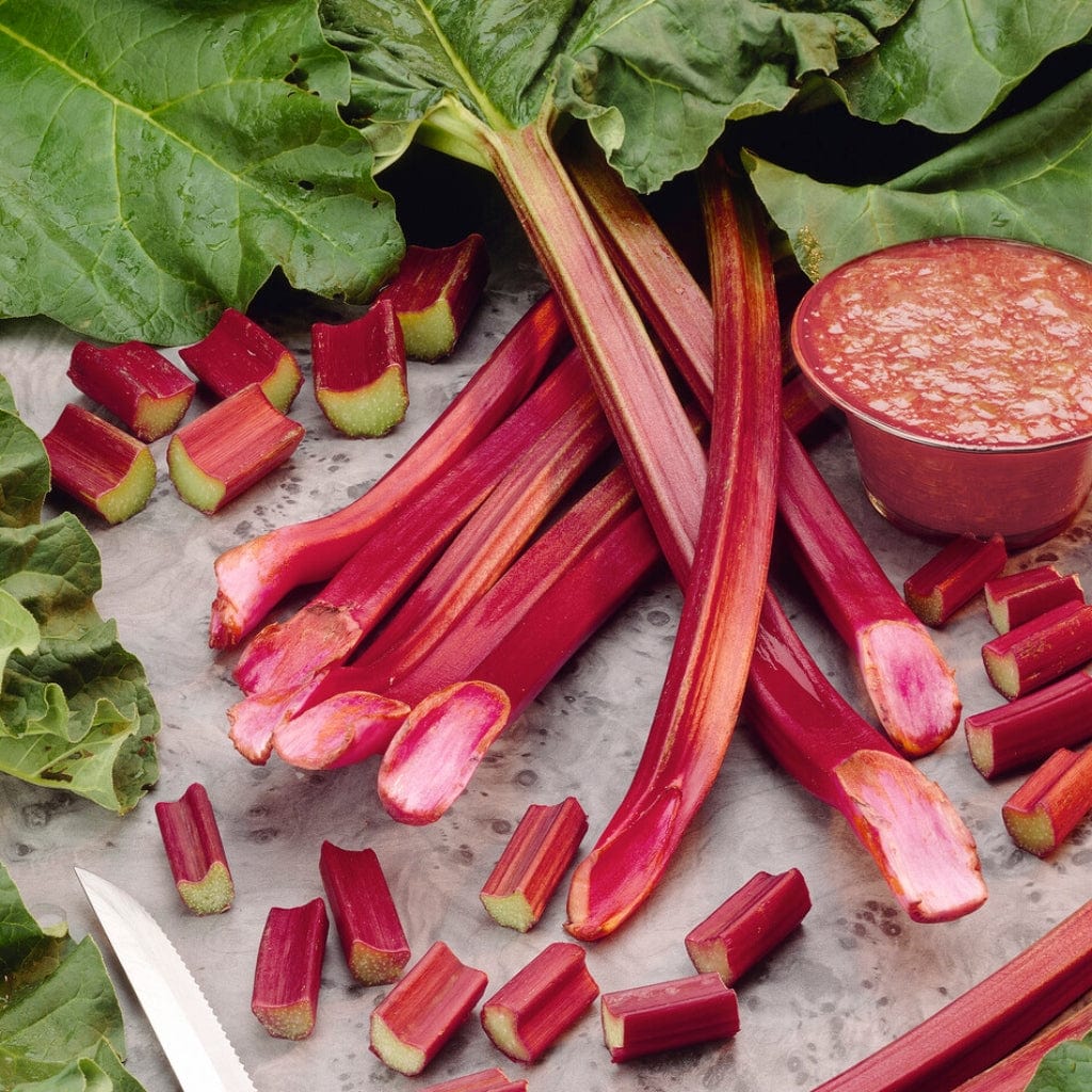 'Timperley Early' Rhubarb Plant - Image 2