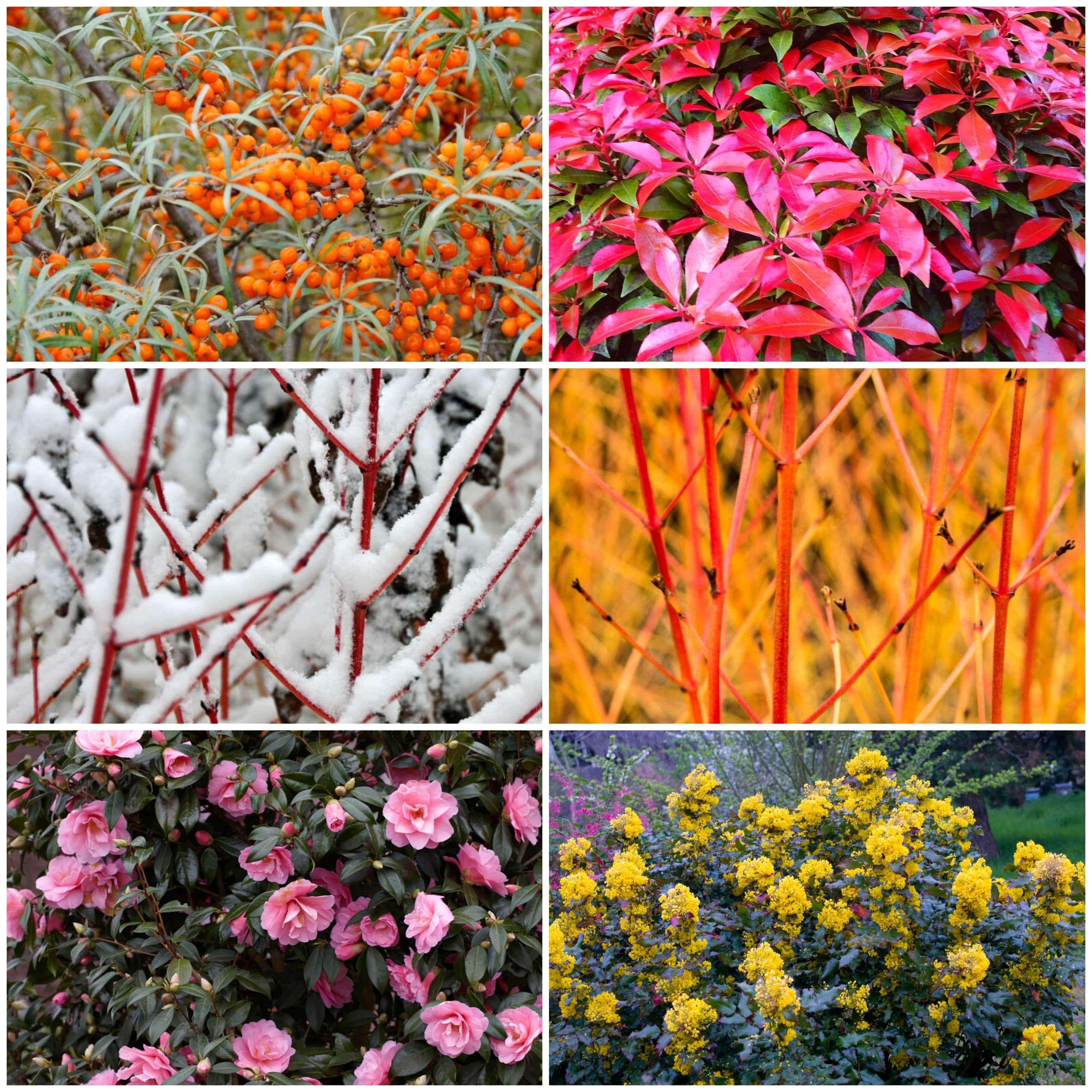 Ultimate Winter Colour Collection - Image 4