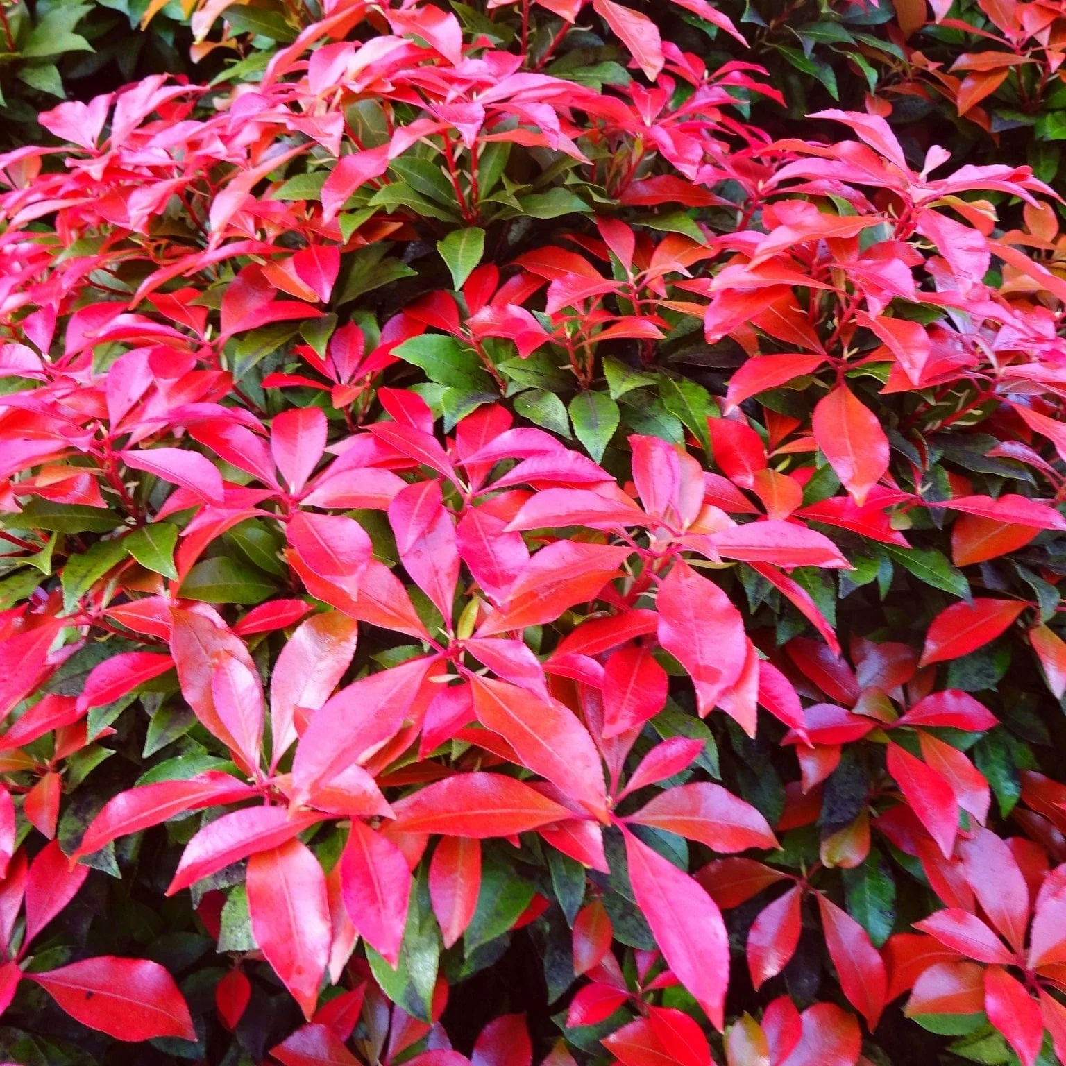 Ultimate Winter Colour Collection - Image 5