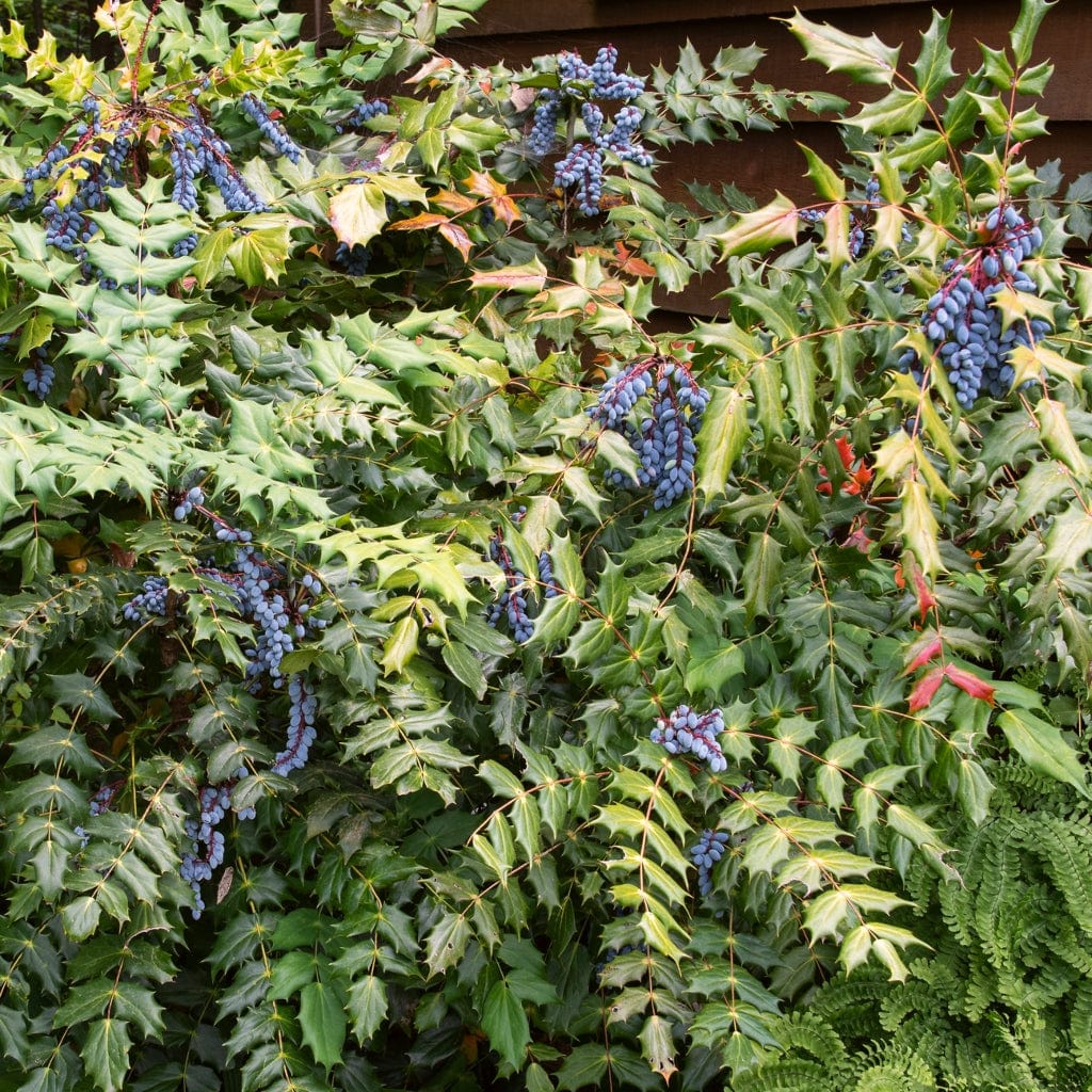 Ultimate Winter Colour Collection - Image 7