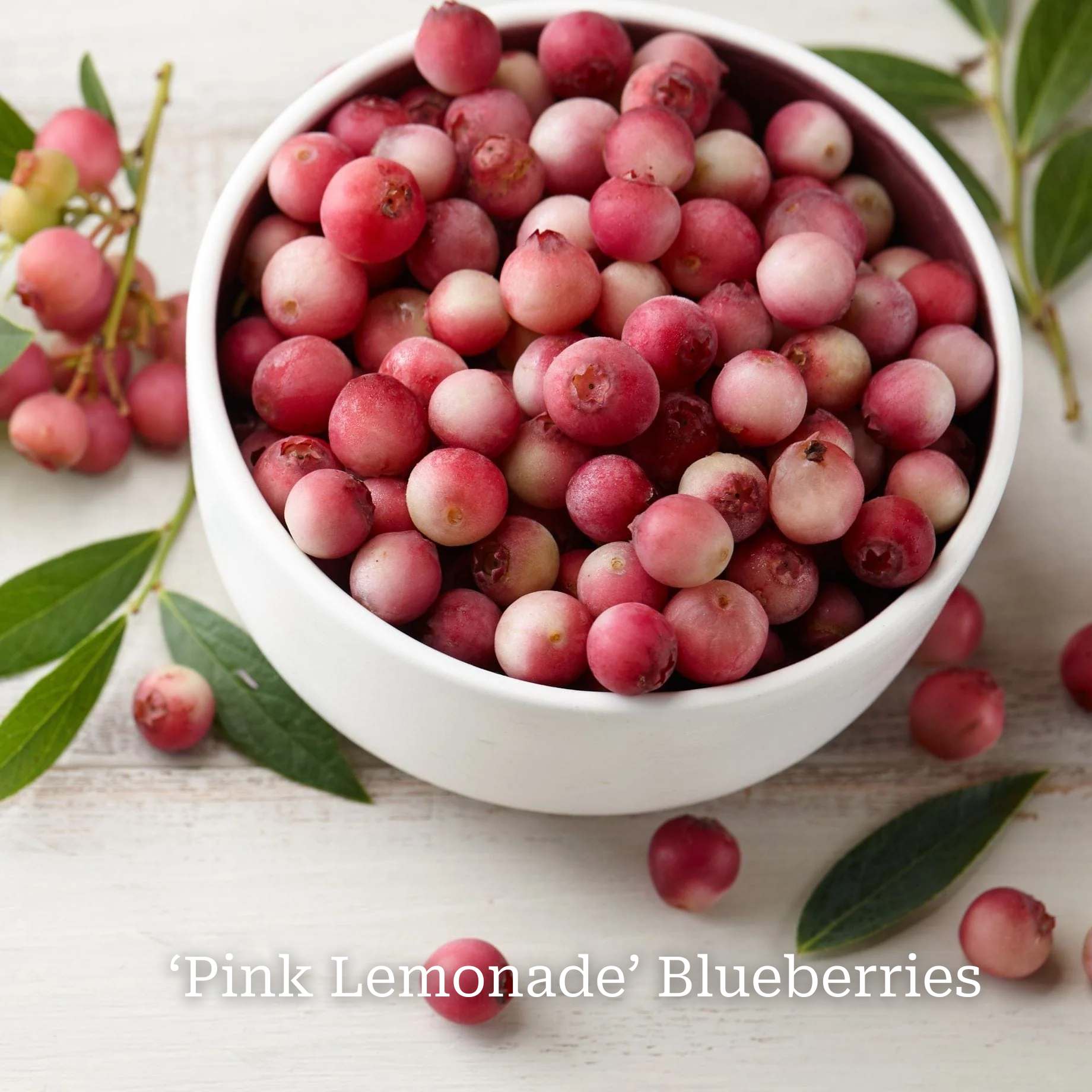 Unusual Berry Collection - Image 2