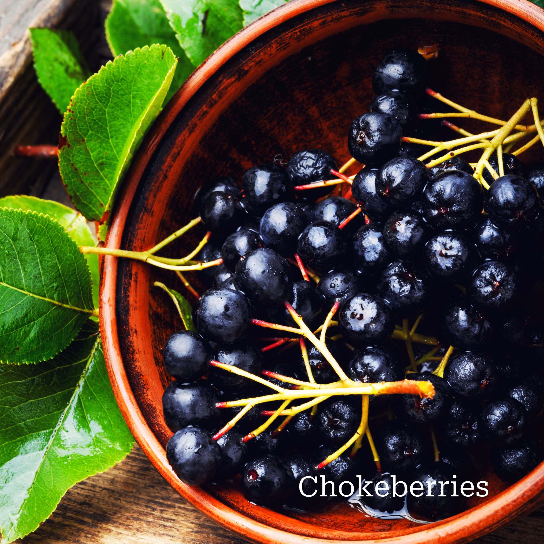 Unusual Berry Collection - Image 4
