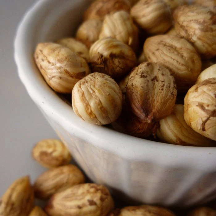 'Webb's Prize' Hazelnut Tree | Corylus avellana - Image 3