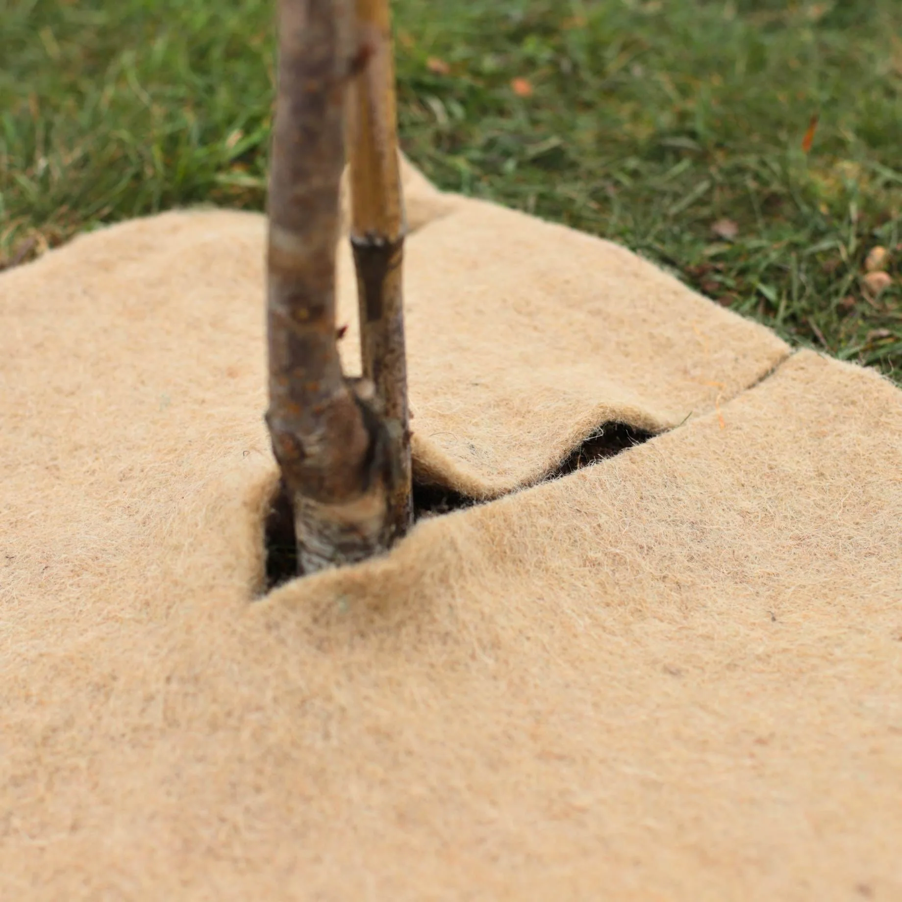 Weed Mat & 4 Stakes - Image 2