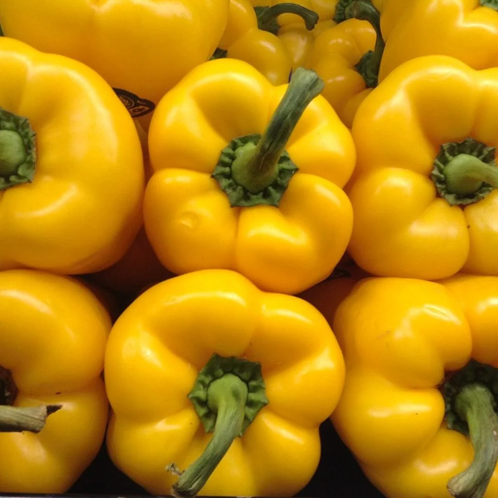 'Yellow Bell' Sweet Pepper Plants - Image 2